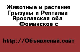 Животные и растения Грызуны и Рептилии. Ярославская обл.,Фоминское с.